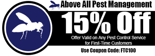 15% Off, Offer Valid on Any Pest Control Service for First-Time Customers Use Coupon Code: FTC100