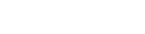 Logo, Above All Pest Management, Wildlife Control Services in Rockaway Park, NY Logo, Above All Pest Management, Wildlife Control Services in Rockaway Park, NY