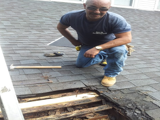 Man Making Repairs, Home Repair